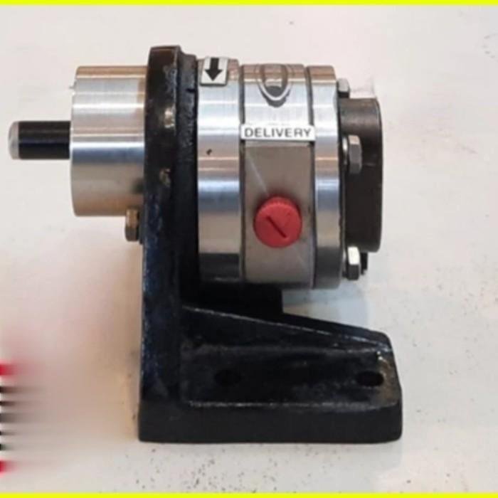 Gear Pump Ropar CGSS 050 MS Stainless Steel SS316 Mechanical Seal 1/2 Inch Gear pump Ropar CGSS 050 MS stainless steel SS316 mechanical seal – foto 2
