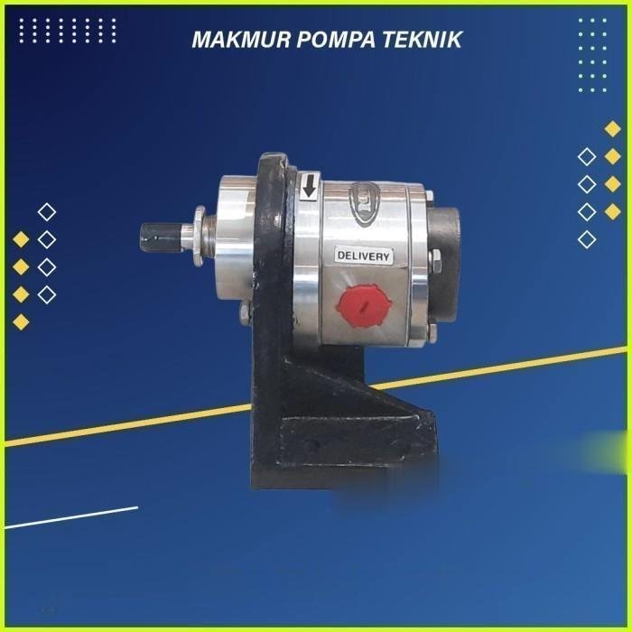 Gear Pump Ropar CGSS 100 MS Stainless Steel SS316 Mechanical Seal 1 Inch Gear pump Ropar CGSS 100 MS stainless steel SS316 mechanical seal – foto 3