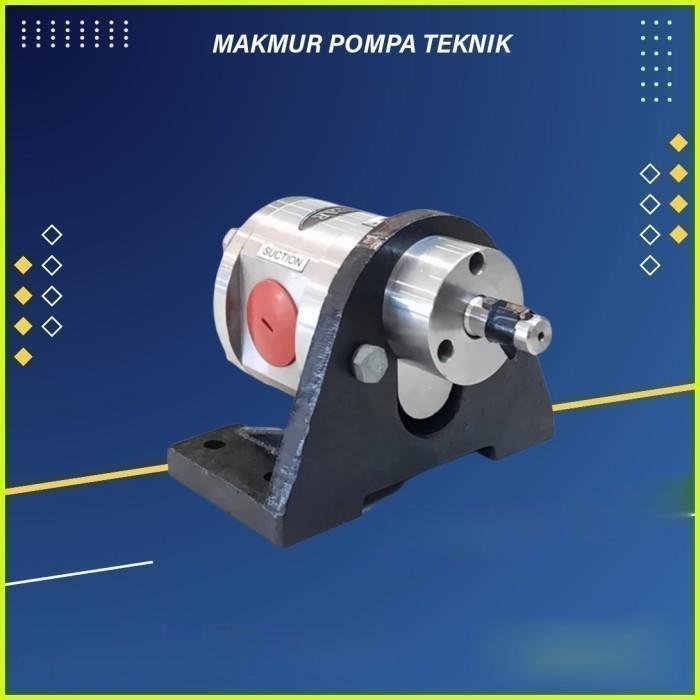 Gear Pump Ropar CGSS 150 MS Stainless Steel SS316 Mechanical Seal 1,5 Inch Gear pump Ropar CGSS 150 MS stainless steel SS316 mechanical seal – foto 2
