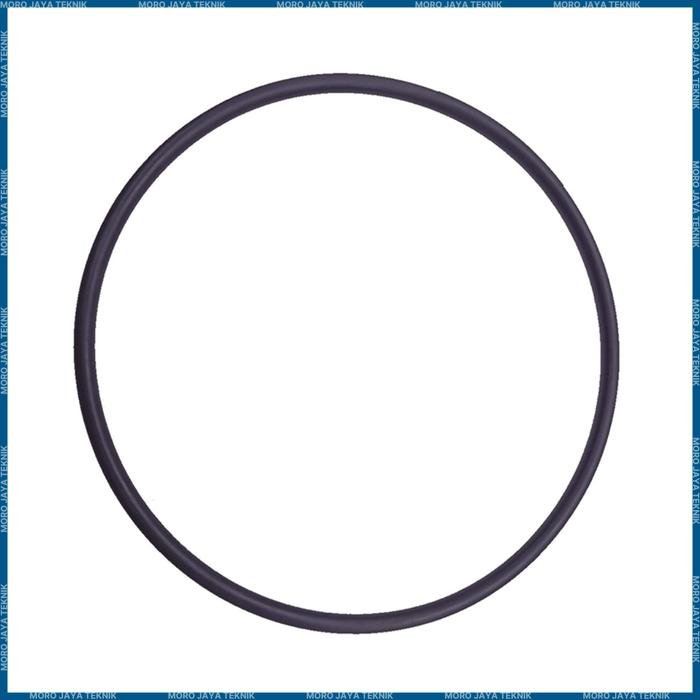 O-Ring Sand Filter Emaux V Series untuk V350 V400 V500 V650 V700 O-Ring sand filter Emaux V Series untuk V350 V400 V500 V650 V700 – foto 2